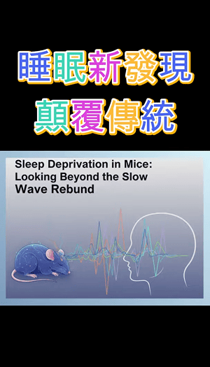 睡眠新發現顛覆傳統影片截圖
